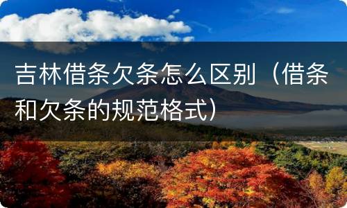 吉林借条欠条怎么区别（借条和欠条的规范格式）