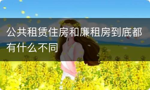 公共租赁住房和廉租房到底都有什么不同