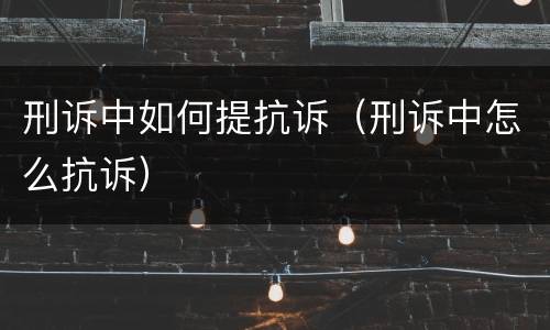 刑诉中如何提抗诉（刑诉中怎么抗诉）