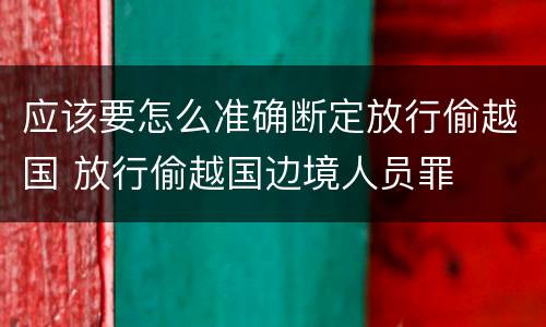 应该要怎么准确断定放行偷越国 放行偷越国边境人员罪
