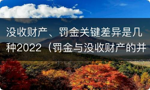 没收财产、罚金关键差异是几种2022（罚金与没收财产的并罚）