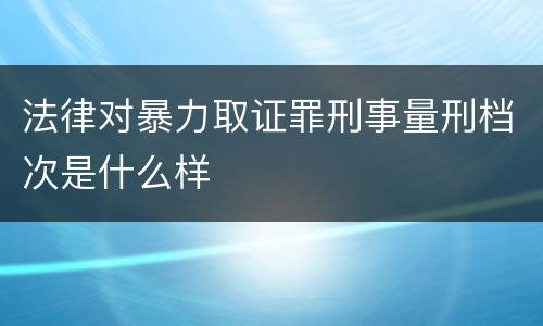 法律对暴力取证罪刑事量刑档次是什么样