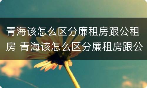 青海该怎么区分廉租房跟公租房 青海该怎么区分廉租房跟公租房的区别