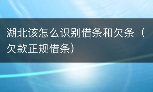 湖北该怎么识别借条和欠条（欠款正规借条）