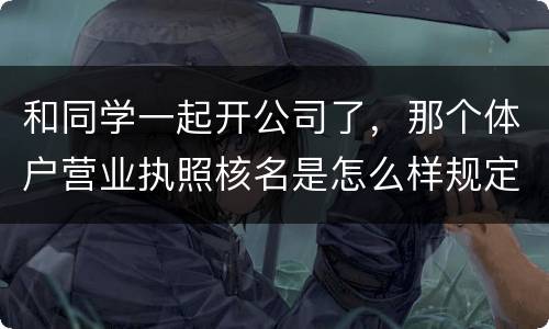 和同学一起开公司了，那个体户营业执照核名是怎么样规定的
