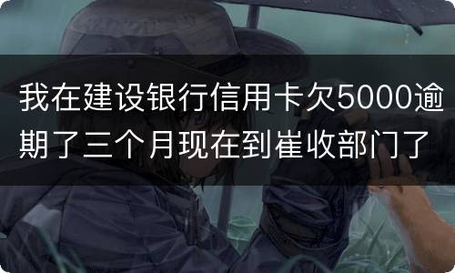 我在建设银行信用卡欠5000逾期了三个月现在到崔收部门了他们要起诉我应该怎么办