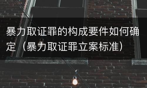 暴力取证罪的构成要件如何确定（暴力取证罪立案标准）