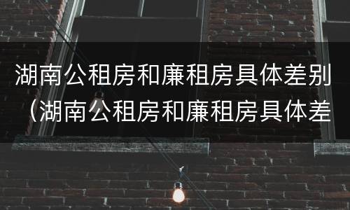 湖南公租房和廉租房具体差别（湖南公租房和廉租房具体差别在哪）