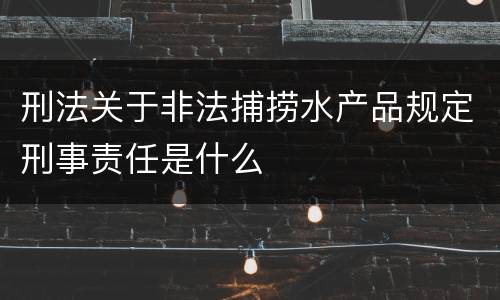 刑法关于非法捕捞水产品规定刑事责任是什么