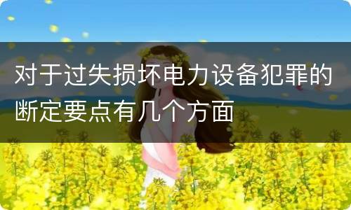 对于过失损坏电力设备犯罪的断定要点有几个方面