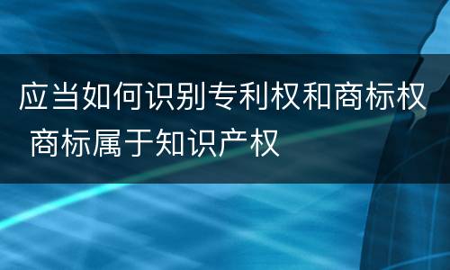 应当如何识别专利权和商标权 商标属于知识产权