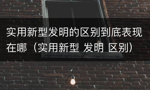 实用新型发明的区别到底表现在哪（实用新型 发明 区别）