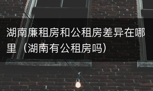 湖南廉租房和公租房差异在哪里（湖南有公租房吗）