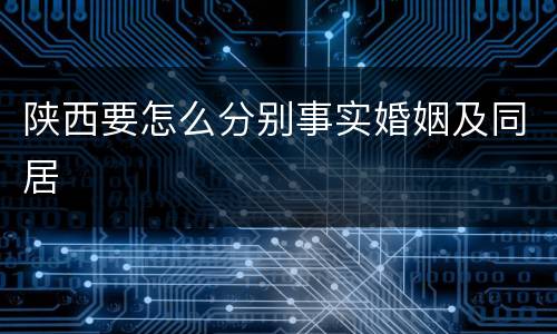 陕西要怎么分别事实婚姻及同居