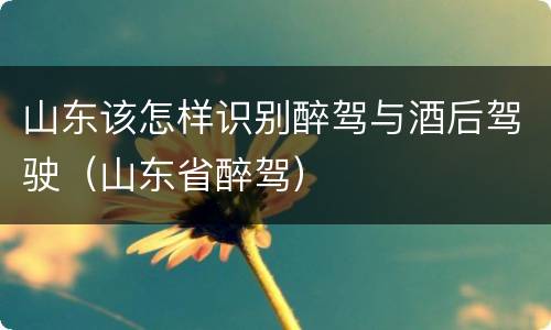 山东该怎样识别醉驾与酒后驾驶（山东省醉驾）
