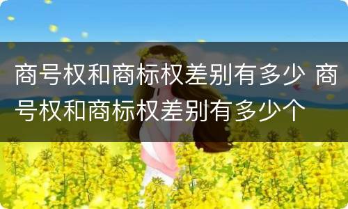 商号权和商标权差别有多少 商号权和商标权差别有多少个