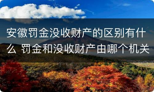 安徽罚金没收财产的区别有什么 罚金和没收财产由哪个机关执行