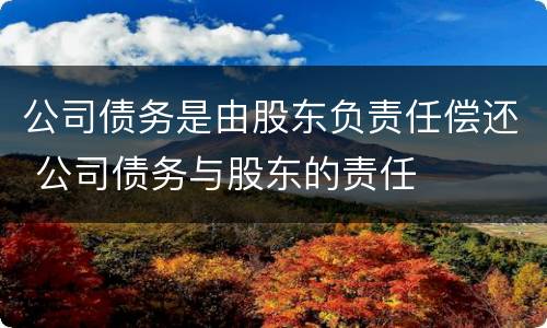 公司债务是由股东负责任偿还 公司债务与股东的责任