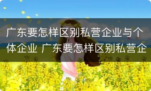 广东要怎样区别私营企业与个体企业 广东要怎样区别私营企业与个体企业呢