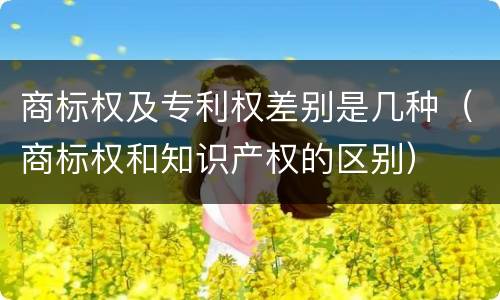 商标权及专利权差别是几种（商标权和知识产权的区别）