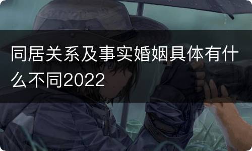 同居关系及事实婚姻具体有什么不同2022