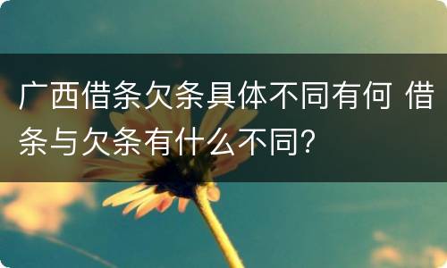 广西借条欠条具体不同有何 借条与欠条有什么不同?