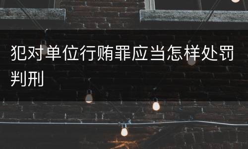 犯对单位行贿罪应当怎样处罚判刑