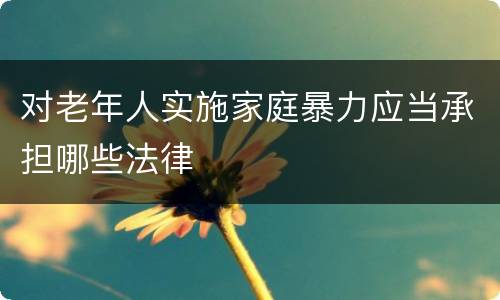 对老年人实施家庭暴力应当承担哪些法律