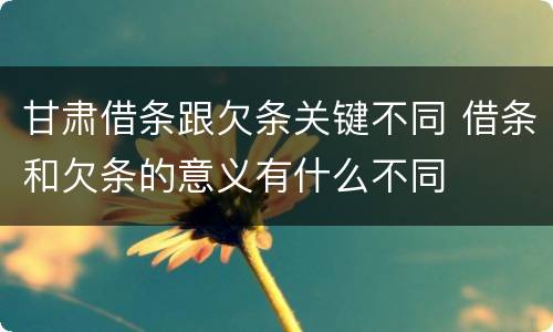 甘肃借条跟欠条关键不同 借条和欠条的意义有什么不同