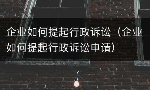 企业如何提起行政诉讼（企业如何提起行政诉讼申请）