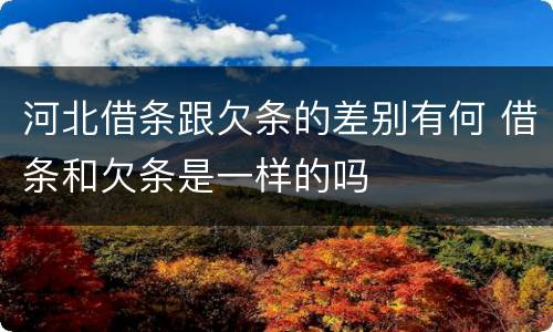 河北借条跟欠条的差别有何 借条和欠条是一样的吗