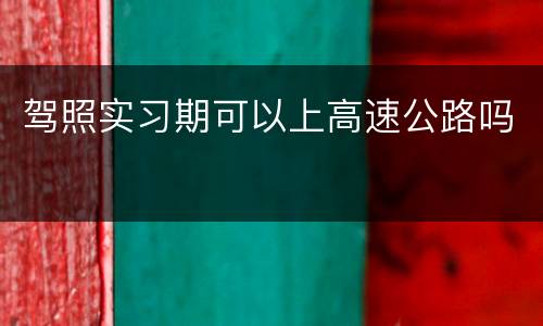 驾照实习期可以上高速公路吗