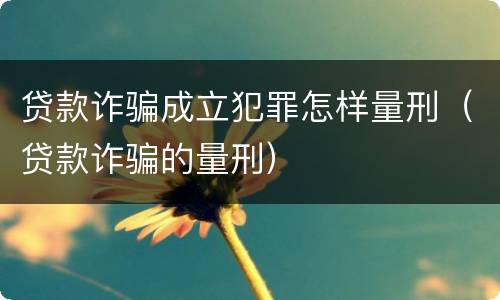贷款诈骗成立犯罪怎样量刑（贷款诈骗的量刑）