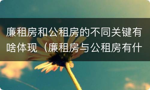 廉租房和公租房的不同关键有啥体现（廉租房与公租房有什么不同）