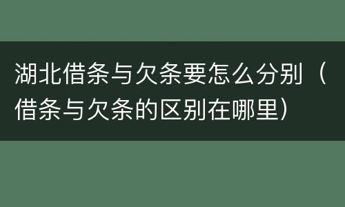 湖北借条与欠条要怎么分别（借条与欠条的区别在哪里）