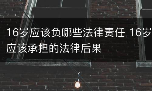 16岁应该负哪些法律责任 16岁应该承担的法律后果
