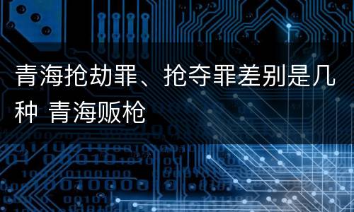 青海抢劫罪、抢夺罪差别是几种 青海贩枪