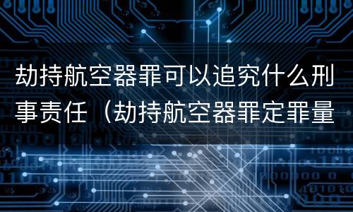 劫持航空器罪可以追究什么刑事责任（劫持航空器罪定罪量刑的依据）