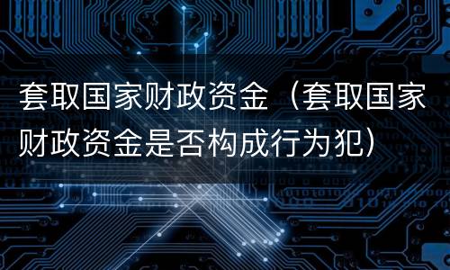 套取国家财政资金（套取国家财政资金是否构成行为犯）