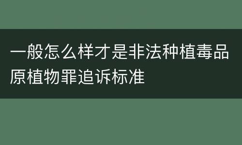 一般怎么样才是非法种植毒品原植物罪追诉标准