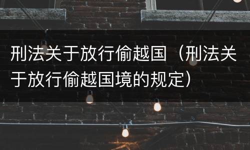 刑法关于放行偷越国（刑法关于放行偷越国境的规定）