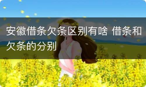 安徽借条欠条区别有啥 借条和欠条的分别