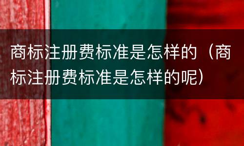 商标注册费标准是怎样的（商标注册费标准是怎样的呢）