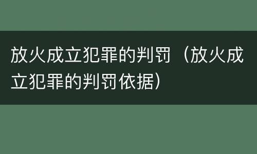 放火成立犯罪的判罚（放火成立犯罪的判罚依据）