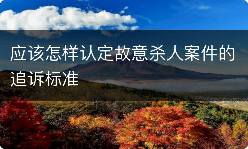 应该怎样认定故意杀人案件的追诉标准