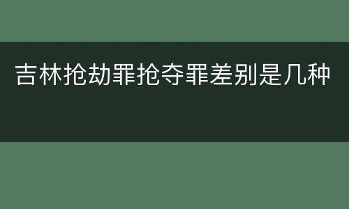 吉林抢劫罪抢夺罪差别是几种