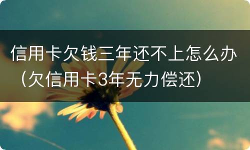信用卡欠钱三年还不上怎么办（欠信用卡3年无力偿还）