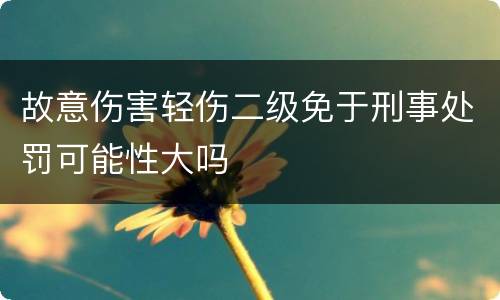 故意伤害轻伤二级免于刑事处罚可能性大吗