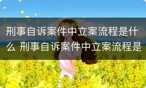 刑事自诉案件中立案流程是什么 刑事自诉案件中立案流程是什么意思