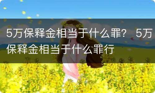 5万保释金相当于什么罪？ 5万保释金相当于什么罪行